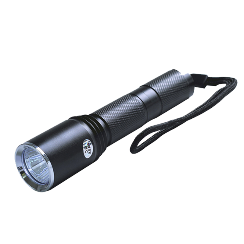 赛时工控(SHSSGK) SKSZD8-7206 微型强光电筒 (单位:个) 黑