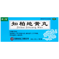 健之佳 知柏地黄丸 9克*9丸*1板/盒 滋阴降火 用于阴虚火旺 潮热盗汗 口干咽痛 耳鸣遗精 小便短赤