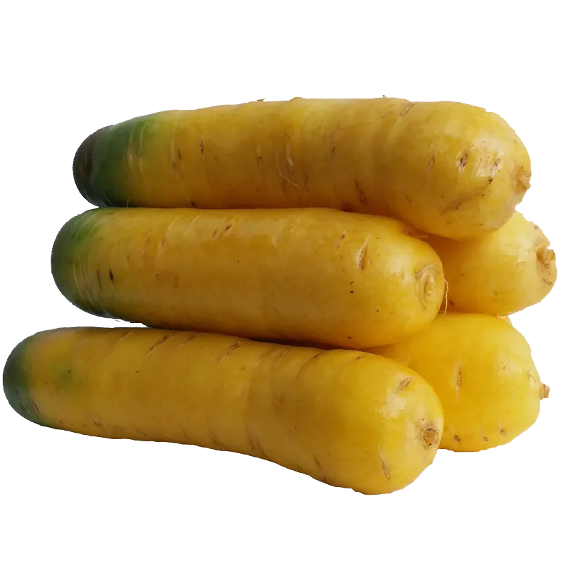 五个农民 山西运城胡萝卜新鲜批发价蔬菜胡萝卜新疆手抓饭萝卜非红皮萝卜