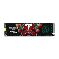 梵想2TB SSD固态硬盘S500PRO 精选长江存储晶圆 国产TLC颗粒 M.2接口(NVMe协议)