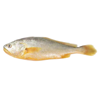 夏威绿色食品5条250-290g/条黄鱼鲞生鲜大黄鱼黄花鱼预制菜三去