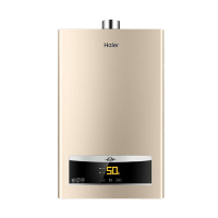 Haier/海尔燃气热水器家用16升天然气热水器恒温强排即热式 变频节能智能防冻安全恒温JSQ30-16D11(12T)