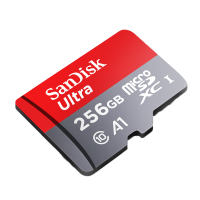 闪迪(SanDisk)A1内存卡手机高速储存卡micro通用sd卡tf卡记忆卡256G +卡套+读卡器+卡盒