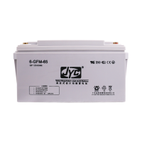 JYC 阀控式免维护铅酸蓄电池 UPS电源 6-GFM-100 12V100Ah(长款)