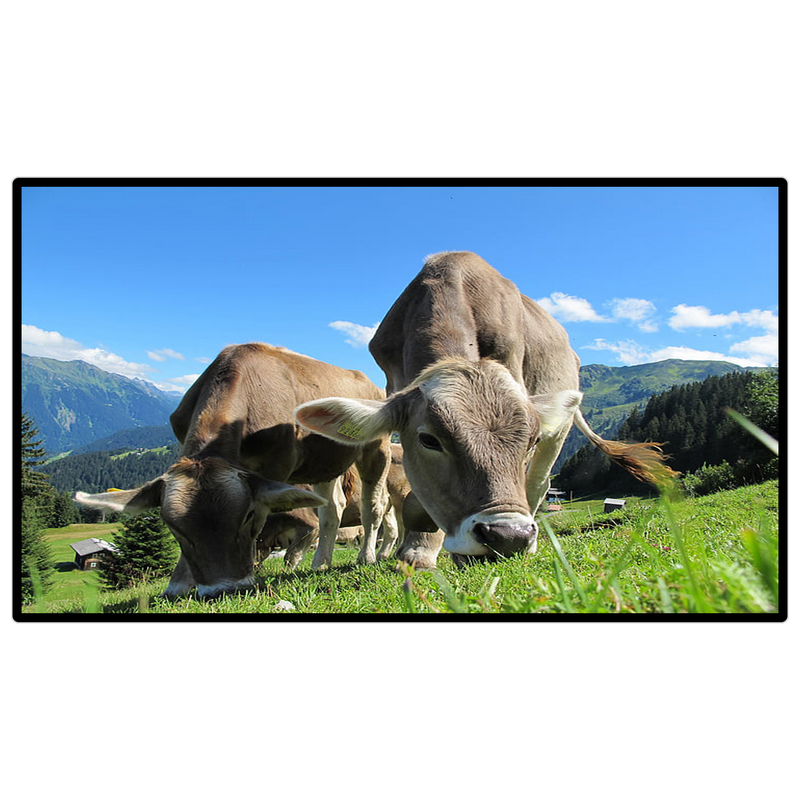 CY-CK-B6Y13.3安卓系统壁挂式触摸广告机