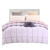 天琴 佳品羽绒被B舒适透气秋冬加厚保暖双人被褥被芯家纺被子TQ-B036