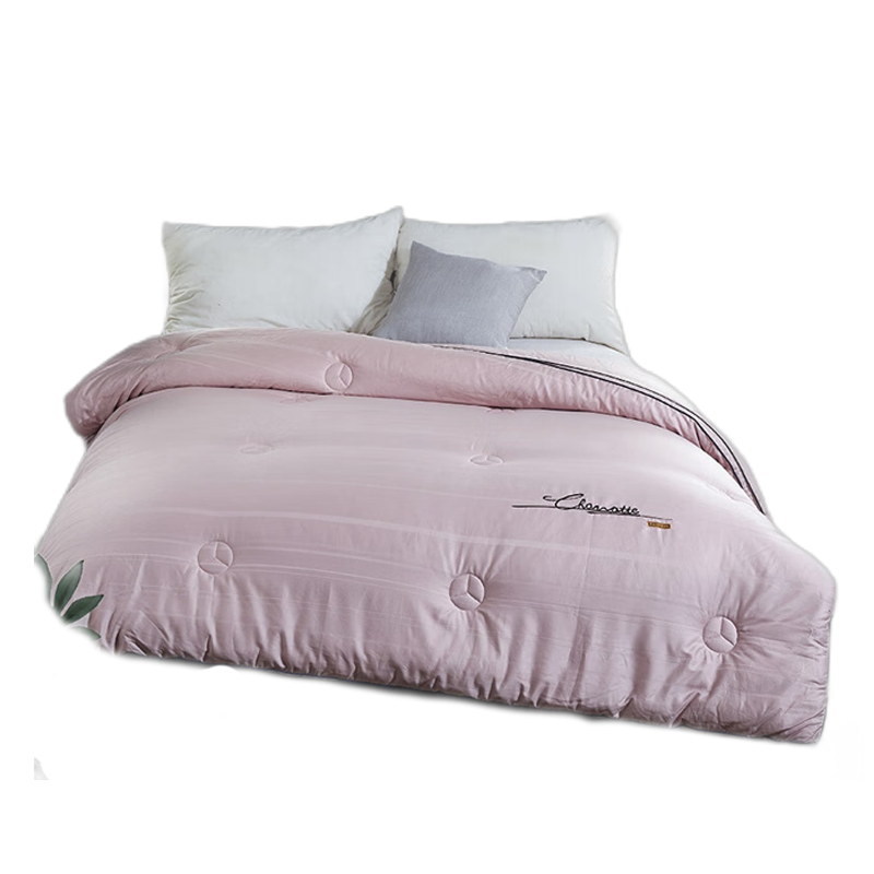 天琴 香榭丽舍绣花蚕丝被活套被秋冬加厚保暖双人被家纺被子TQ-B060