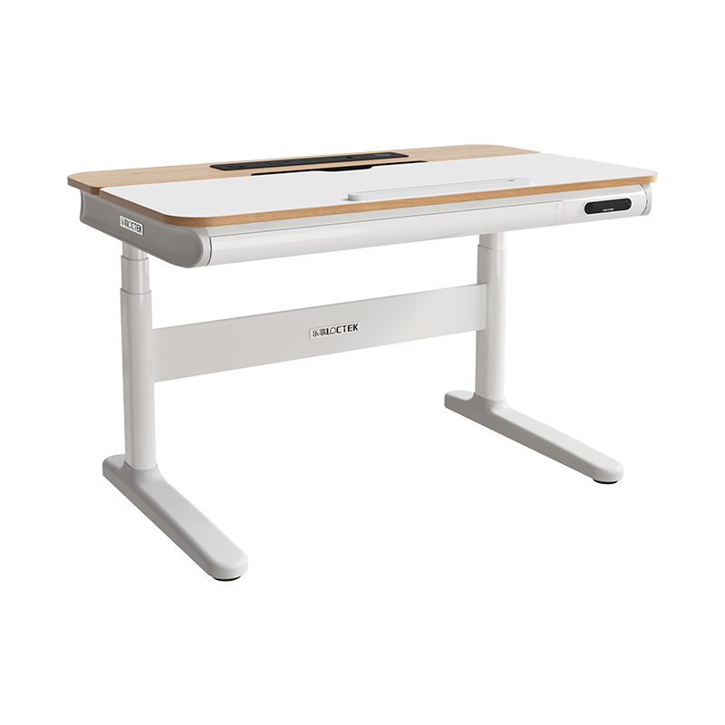 乐歌健身椅 电脑椅健身椅二合一办公室健身椅可调节人体工学椅V6