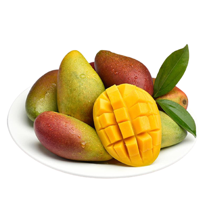 [西沛生鲜]精选攀枝花凯特芒 3斤 特大果 单果600g左右 当季新鲜水果 热带水果