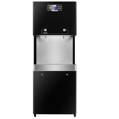 德玛仕DEMASHI商用直饮机学校单位开水机一开一净SRZ-600/SRZ-2L-L5(原30-SRZ-2L-L5)