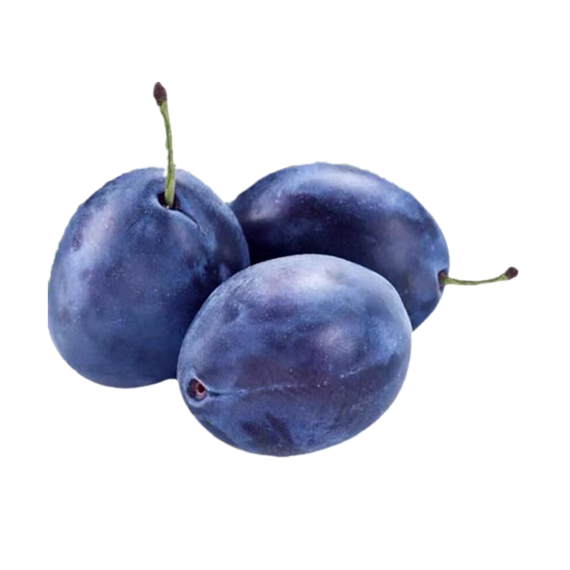 鲜贝达 西梅5斤大果[单果35g起][顺丰快递]VC水果