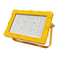 HS 恒盛 BF392A-50W 隔爆LED泛光灯(计价单位:盏)黄色