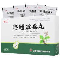 坝上 连翘败毒丸 9g*6袋/盒