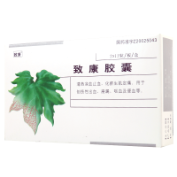 致康 致康胶囊 24粒/盒