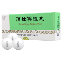 同仁堂 消栓再造丸 9g*10丸/盒