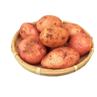鲜贝达 红皮土豆5斤大果[单果120-500g]