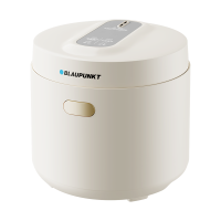 蓝宝(BLAUPUNKT)电饭煲电饭锅2-3人2升小型家用迷你智能煮饭锅