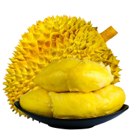 [鲜佰客]顺丰速运 泰国 纯A烤榴莲肉 5盒 100g/盒 新鲜水果冷冻液氮金枕头榴莲冻肉