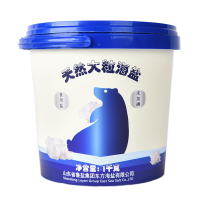 盐之眼 天然无添加炖煮腌制焗专用天然大粒海盐1kg整罐