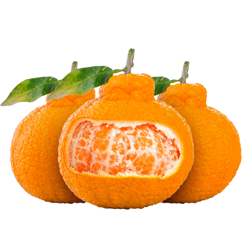 正宗四川不知火丑橘新鲜5斤水果当季粑粑丑八怪柑橘耙耙桔子