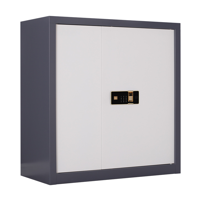 翌嘉 YJ-20066 保密柜套色档案柜资料柜单节指纹密码锁