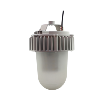 领航电器(LHDQ) LHF2105/G 50W 220V IP65 冷光 LED平台灯 灰色