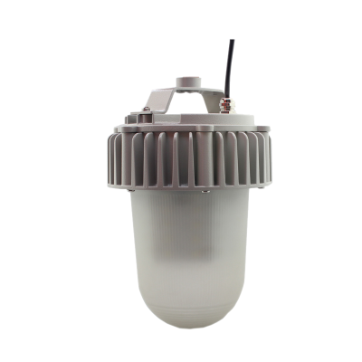 领航电器(LHDQ) LHF2105/G 50W 220V IP65 冷光 LED平台灯 灰色