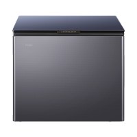 海尔(Haier)200升 家用卧式冰柜 冷柜 小冰箱 风冷无霜 一级能效 BC/BD-200WGHESM