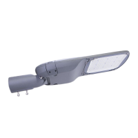 维莱奥斯 DLD1001-150W 220V IP65 LED道路灯