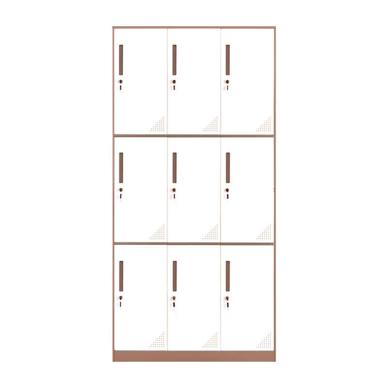 臻远ZY-GYGC-11拆装更衣柜窄边储物柜 咖白套色九门