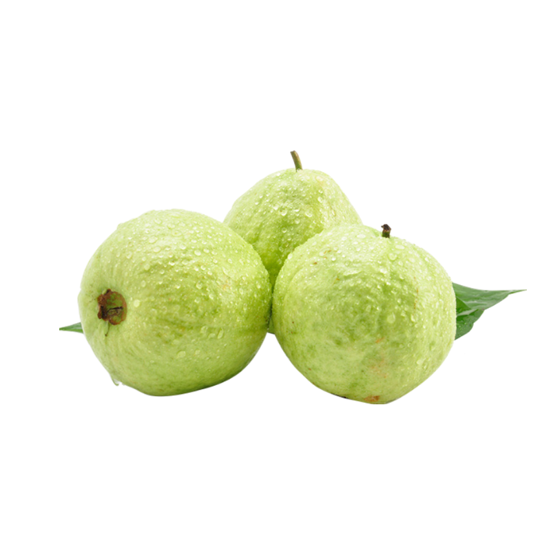 [西沛生鲜]番石榴 奶油白心芭乐 净重8.5斤 海南新鲜水果 时令水果 果园现摘 清甜可口 西沛