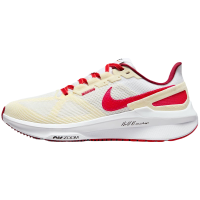 NIKE耐克运动鞋男秋新款ZOOM STRUCTURE 25公路跑步鞋FJ0332-100