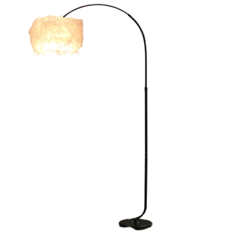 羽毛灯落地灯古达客厅卧室ins风少女公主钓鱼灯北欧创意网红床头台灯