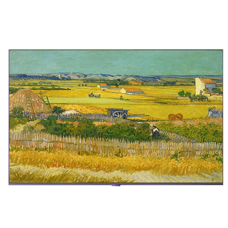 创维(Skyworth)50英寸 G53 全功能AI芯片 全通道4K120Hz高刷 哈曼声学音响