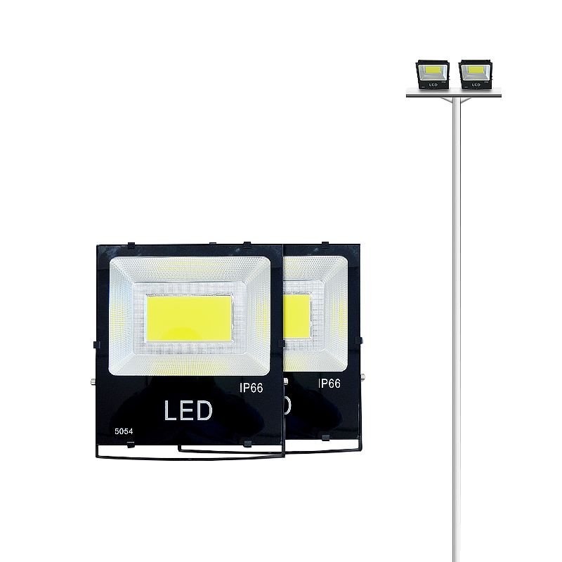 格瑞捷8米杆带直支架200W灯具2盏