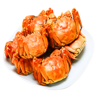 餐中王清水大闸蟹鲜活大螃蟹2.5-2.9两8只全母大闸蟹鲜活螃蟹苏州阳澄湖镇发货