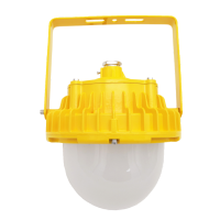深圳中跃(SINOMARC)ZY8112-80W IP66 、220V 、冷白、LED防爆平台灯(计价单位:套)黄色