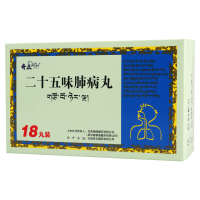 奇正 二十五味肺病丸 0.5g*18丸/盒