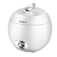 格力(GREE)电饭煲 GDF-20S65 电饭锅2升家用2L升大松迷你煲小型机械款适用于1-4人煮饭 热饭 煮粥饭煲