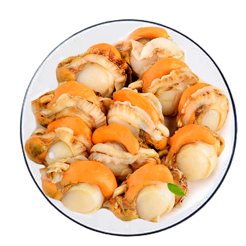 扇贝肉无冰冷冻新鲜连云港水产海鲜顺丰黄海红贝超大个