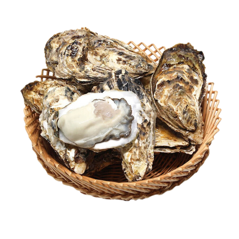 蚝范儿乳山生蚝1.5+鲜活10斤牡蛎活鲜海蛎子带箱新鲜海鲜