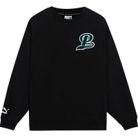 PUMA 简约运动休闲圆领套头卫衣 男款 黑色 539268-01