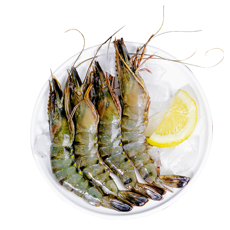 [大叔的田]特大黑虎虾3斤装新鲜活冻气冻无冰顺丰锁鲜19-21cm每斤约8-10只