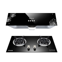 志高(CHIGO)H093K+F200B-Y 中式顶吸式抽烟机燃气灶具烟灶套餐(液化气)