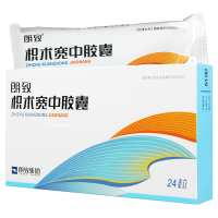 朗致 枳术宽中胶囊 0.43g*24粒/盒