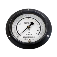 嘉禾长久/精密压力表轴向带边/YB150ZT/0.4级/台