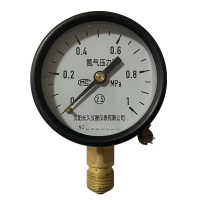 嘉禾长久/氮气压力表/Y60 /个