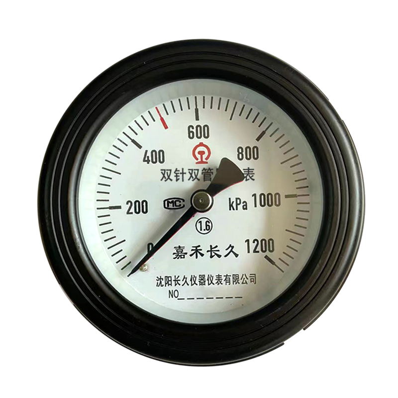 嘉禾长久/轴向双针双管压力表/YZS-102Z/24V带灯/块