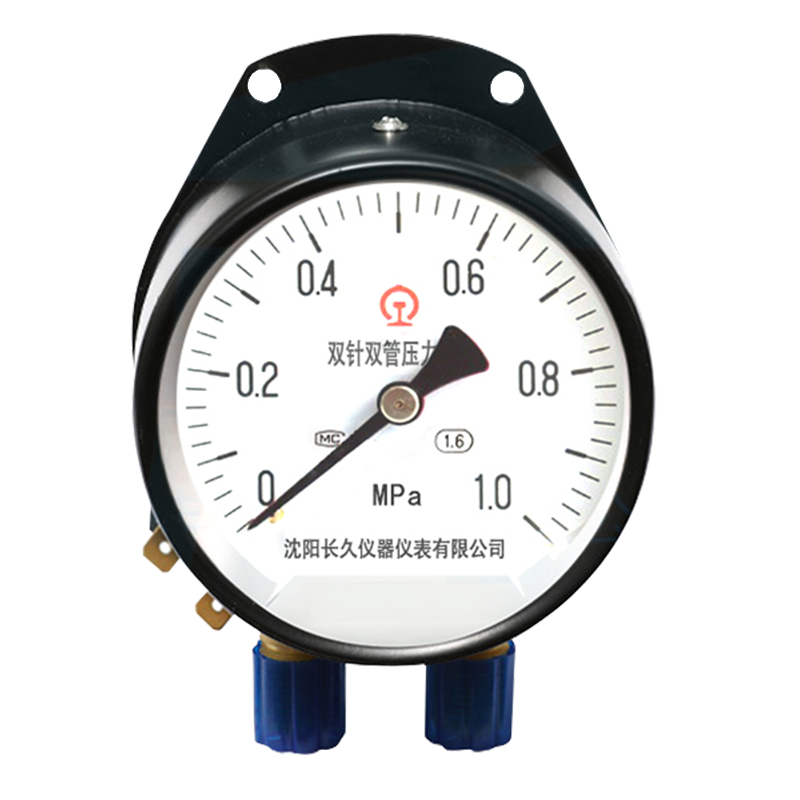 嘉禾长久/双针双管压力表/YZS-102/24V带灯/块