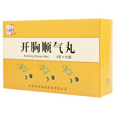 仲景 开胸顺气丸 6g*10袋/盒